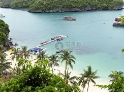 海滨山猫队小胜河套雄鲨队，橄榄球季后赛上演裁判判罚引热议！战术板得到兑现的简单介绍